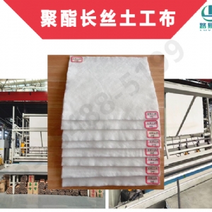 长丝土工布100-800g/㎡