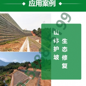 涤纶生态袋