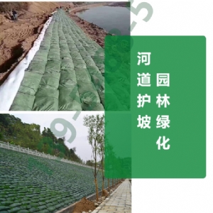 涤纶生态袋